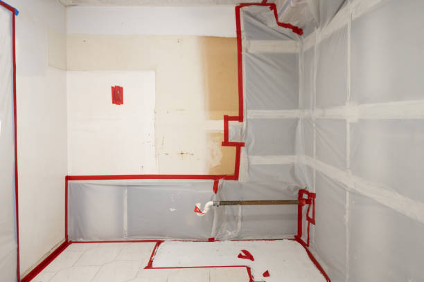 Best Crawl Space Mold Remediation  in Burt, MI