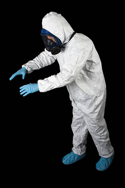Best Mold Odor Removal Services  in Burt, MI