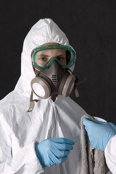 Best HVAC Mold Inspection and Cleaning  in Burt, MI